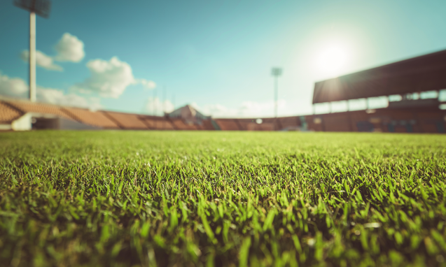 Green grass covers a football field in an empty stadium on a sunny day