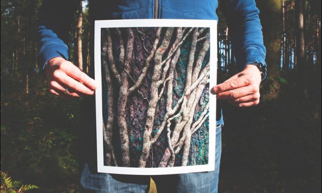 Man holding photo of branches while standing in the woods
