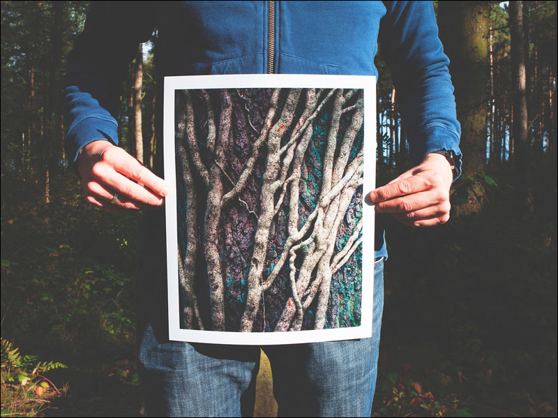 Man holding photo of branches while standing in the woods