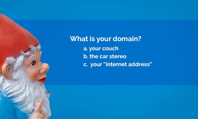 Gnome with graphic asking "What is your domain?"