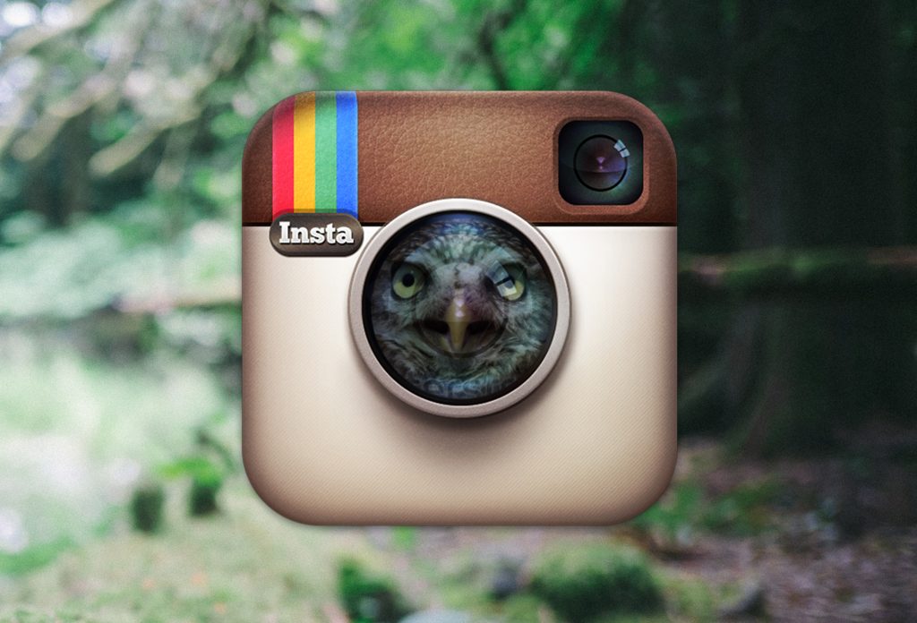 Instagram logo in front of a picture of nature