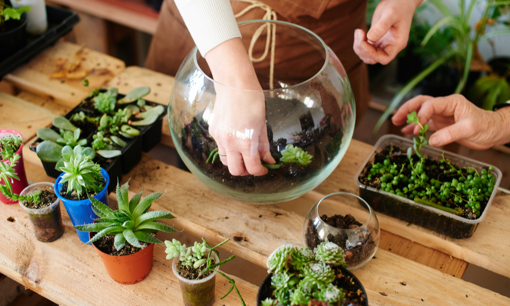 two women planting succulents in glass bowls